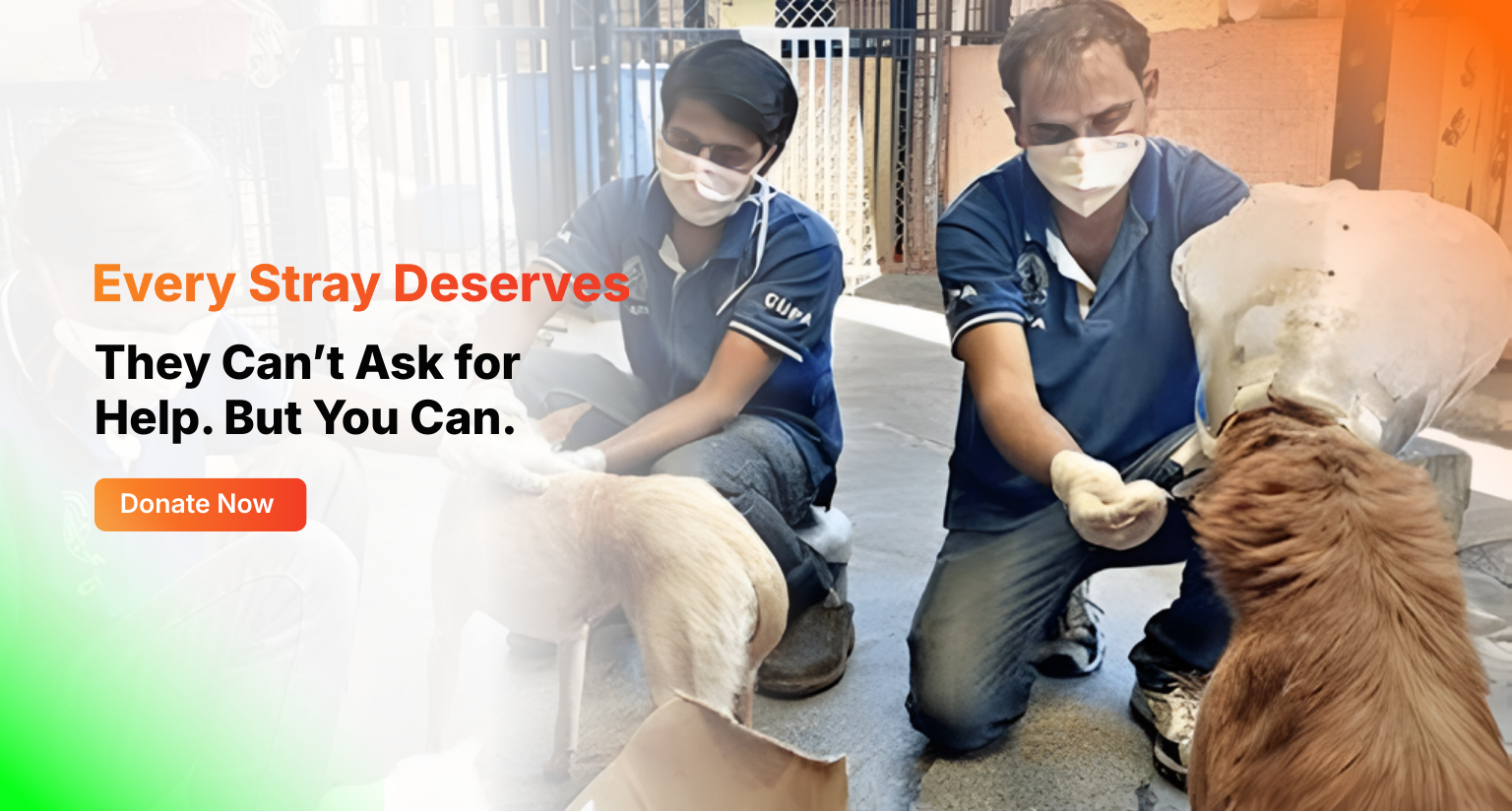 Child food donation banner